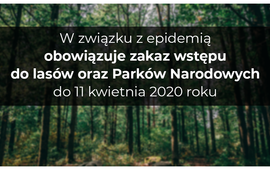 Zakaz wstępu do lasu
