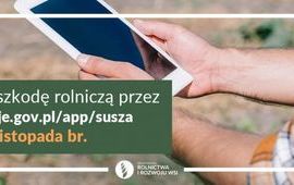 Zgłoś szkodę rolniczą do 30 listopada