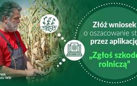 Producenci rolni samodzielnie szacują szkody spowodowane przez tegoroczną suszę...