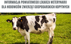 Ubój z konieczności zwierząt gospodarskich kopytnych poza rzeźnią