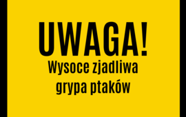 Uwaga! Wysoce zjadliwa grypa ptaków