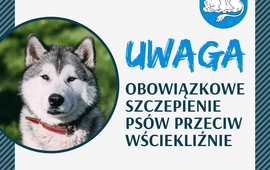 Obowiązkowe szczepienie psów przeciw wściekliźnie