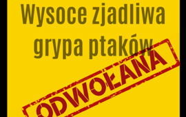 Ptasia grypa odwołana